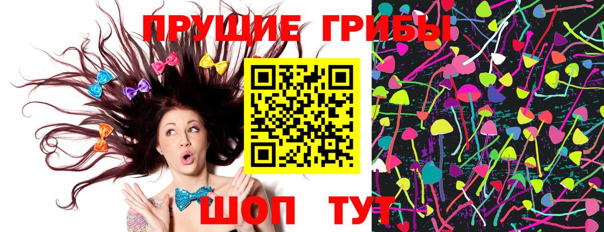 Псилоцибиновые грибы Psilocybine cubensis Урай
